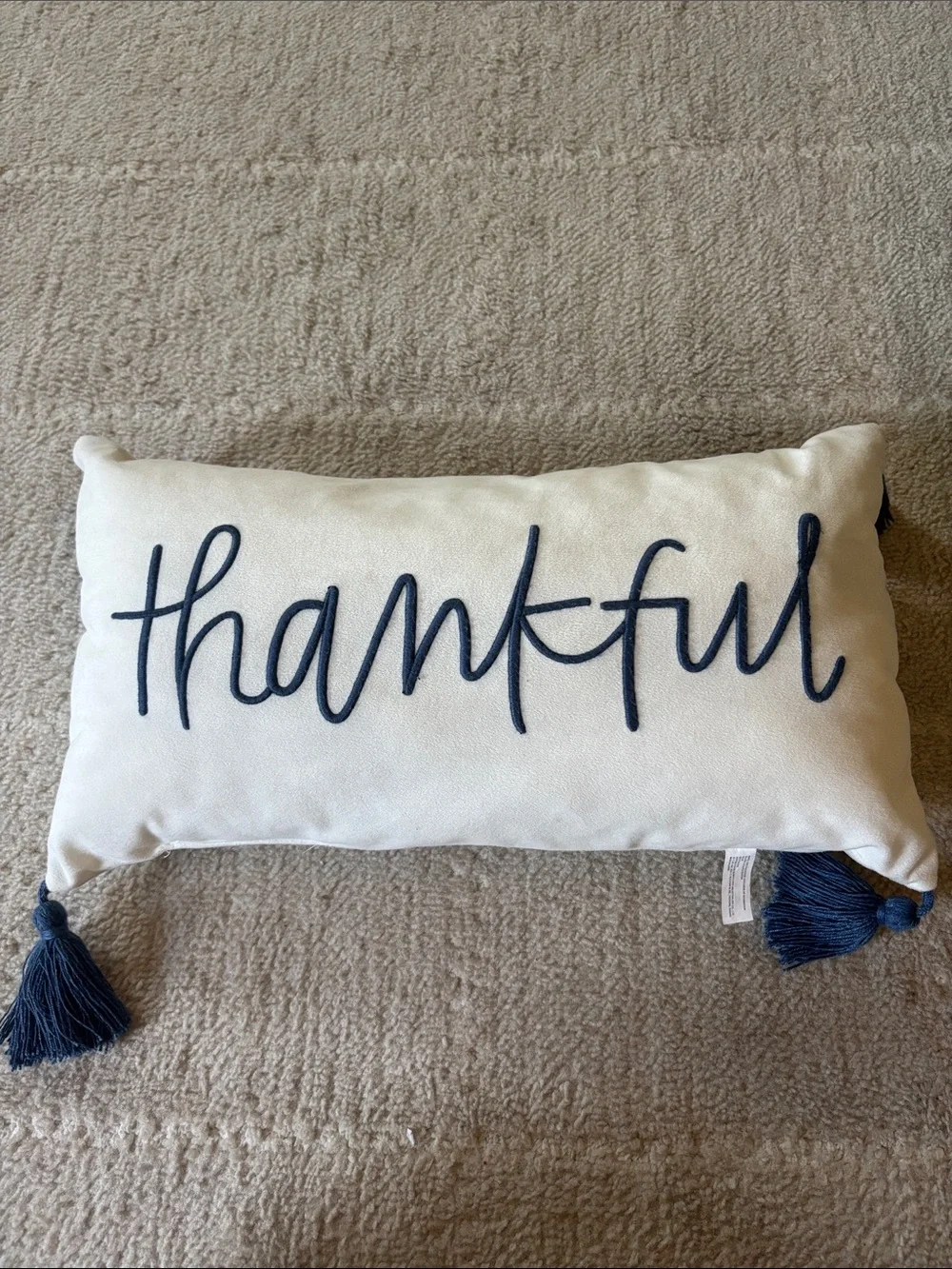 Thankful Decorative Accent Pillow - Navy on Cream